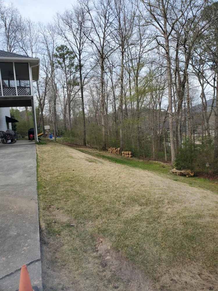 A grassy backyard slopes toward a dense line of tall, bare trees next to a concrete patio and elevated screened porch.