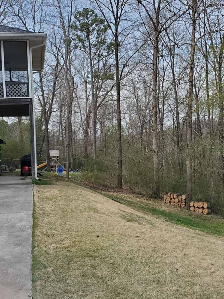A grassy backyard with a concrete patio under a house deck, a small playground set, and a stack of logs near a tree line.