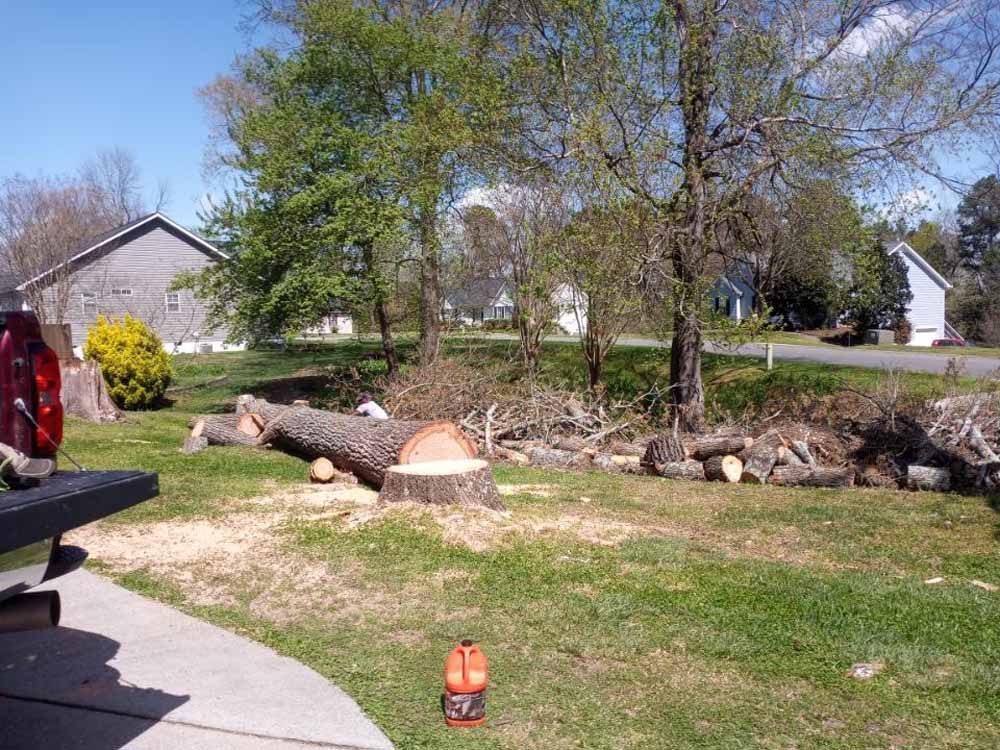 A large tree trunk rests on the grass in a residential yard next to a fresh stump and a small orange fuel container.