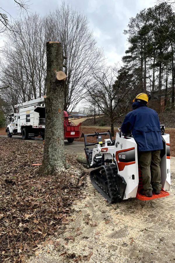 A person in a hard hat operates a white skid steer near a tree trunk while a utility truck is parked in the background.