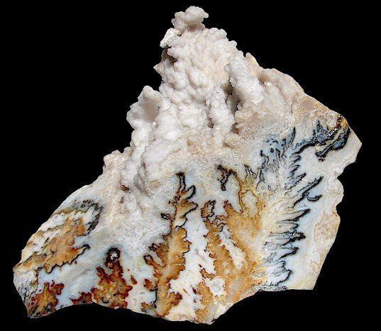 Coral — Boise, ID — Stewart’s Gem Shop