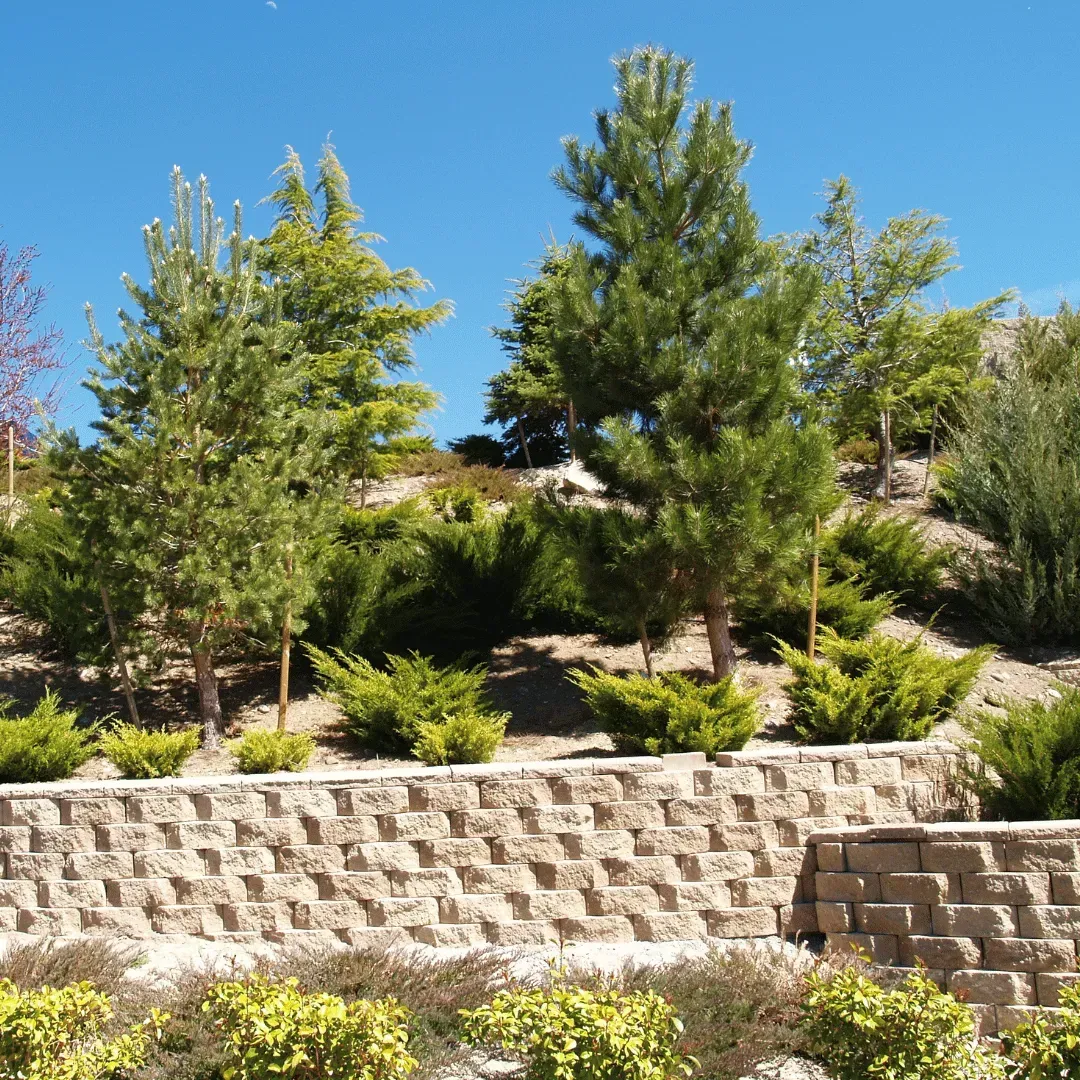 Tan house with brick facade, stone steps, and landscaping, under a blue sky.
