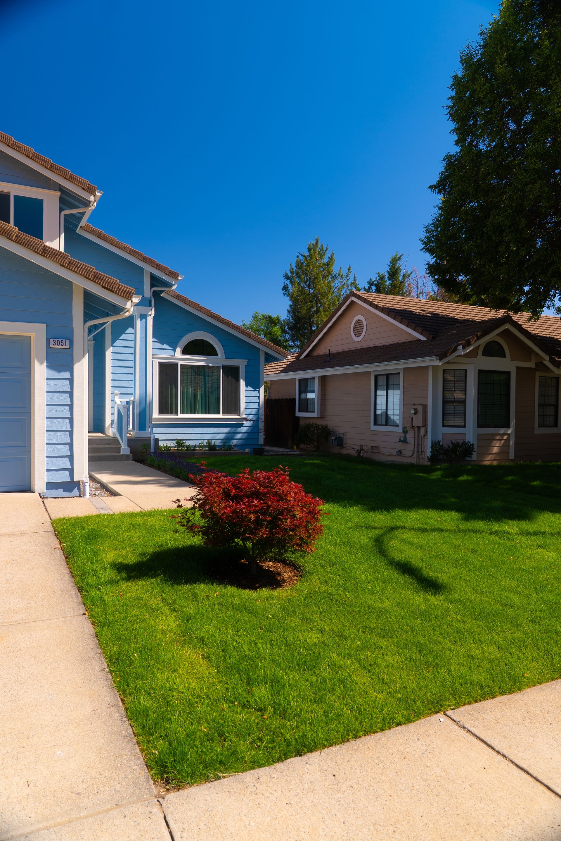 Two houses with green lawns under a bright blue sky. A red bush sits in the front yard.