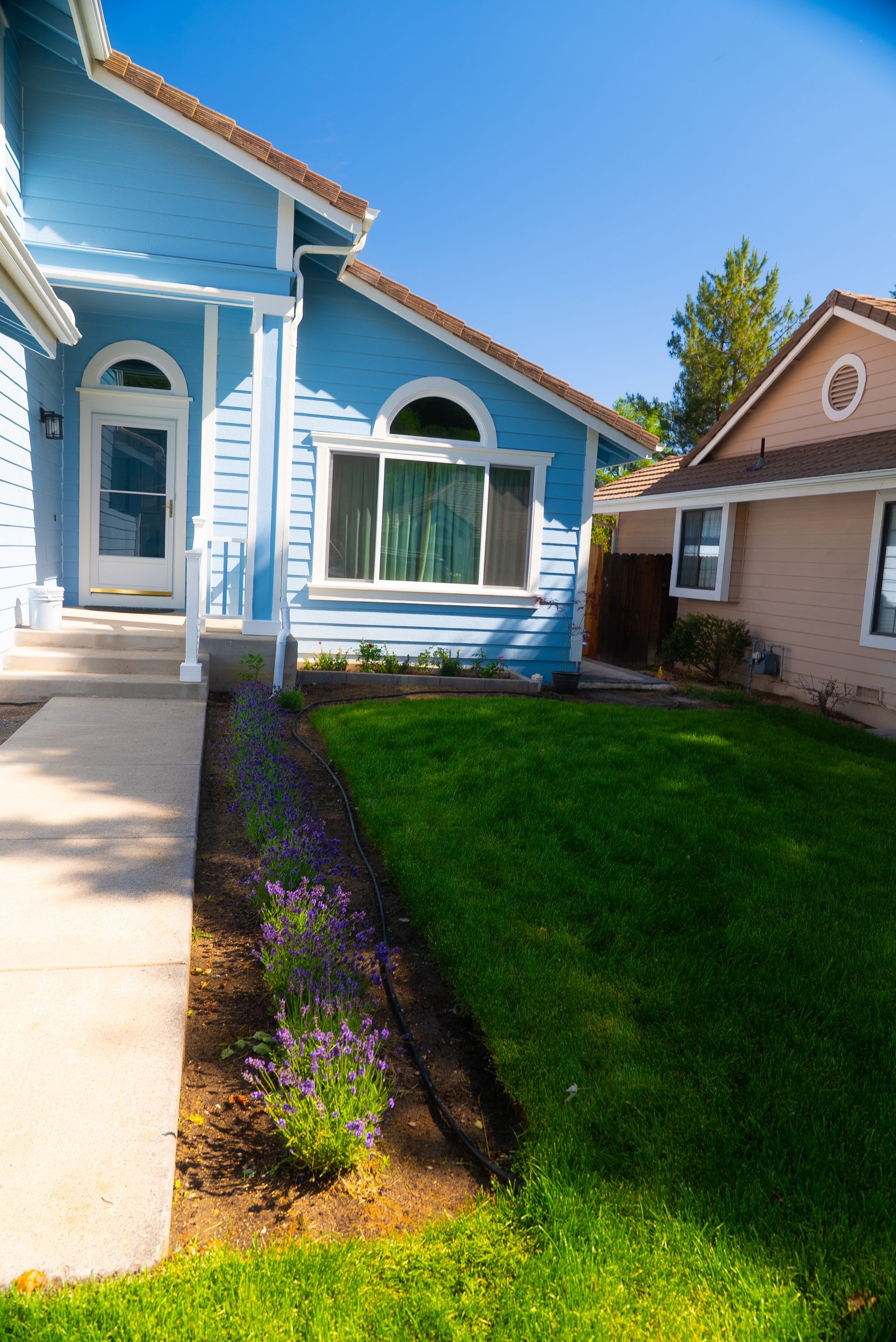 Blue house with a white door and arched window next to a green lawn and a pink house.