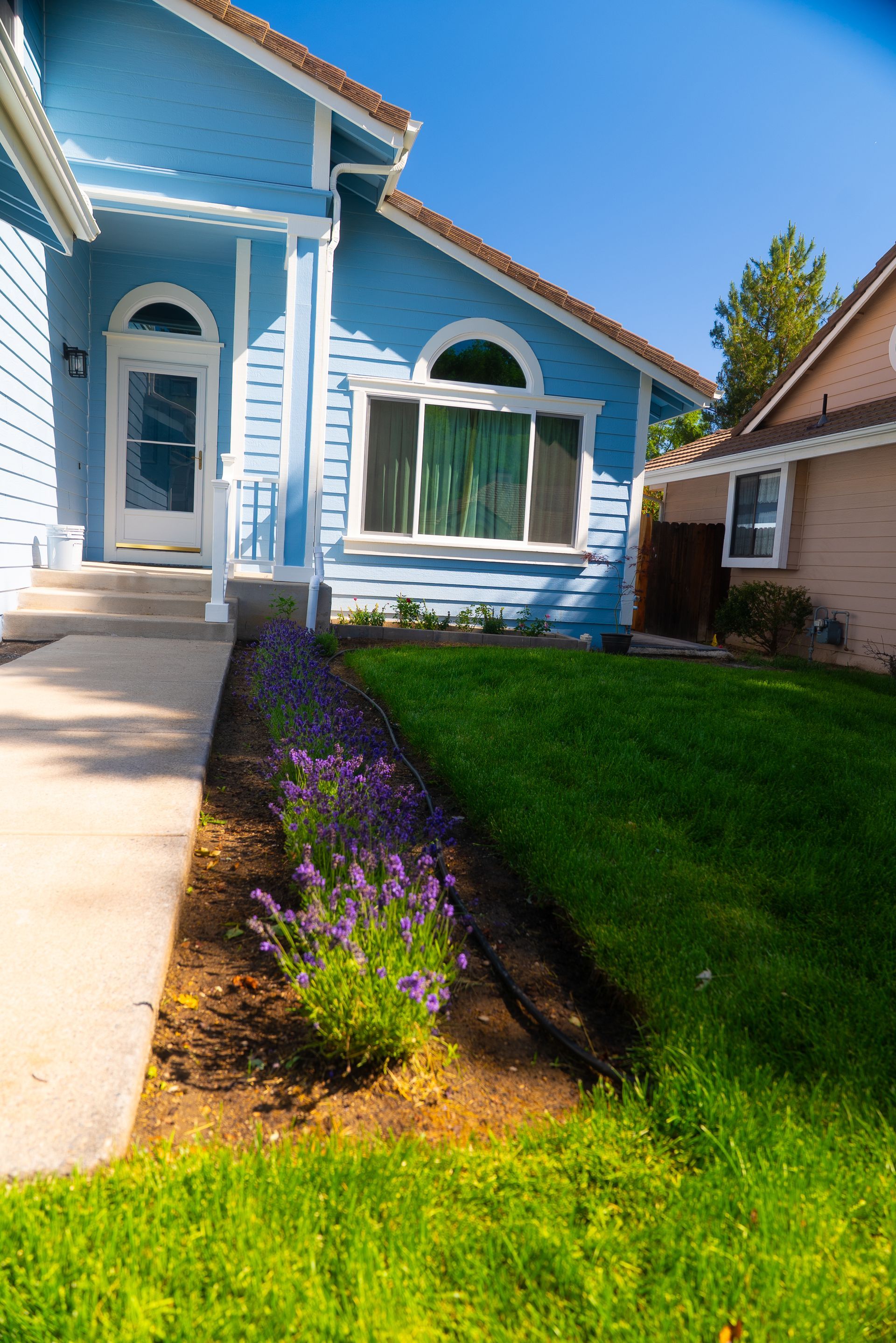 Blue house with lavender flowers and green lawn.