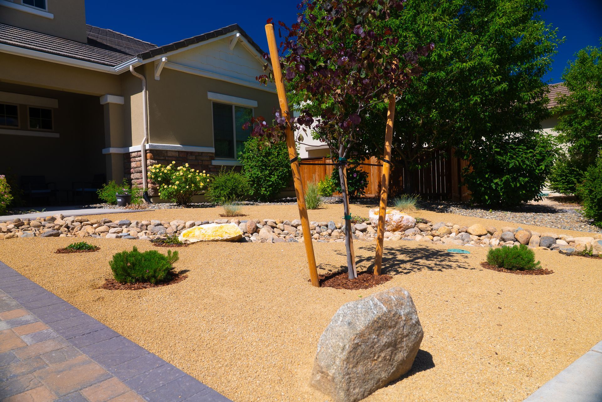 Front yard landscaping with gravel, a young tree, boulders, and shrubbery in front of a house.