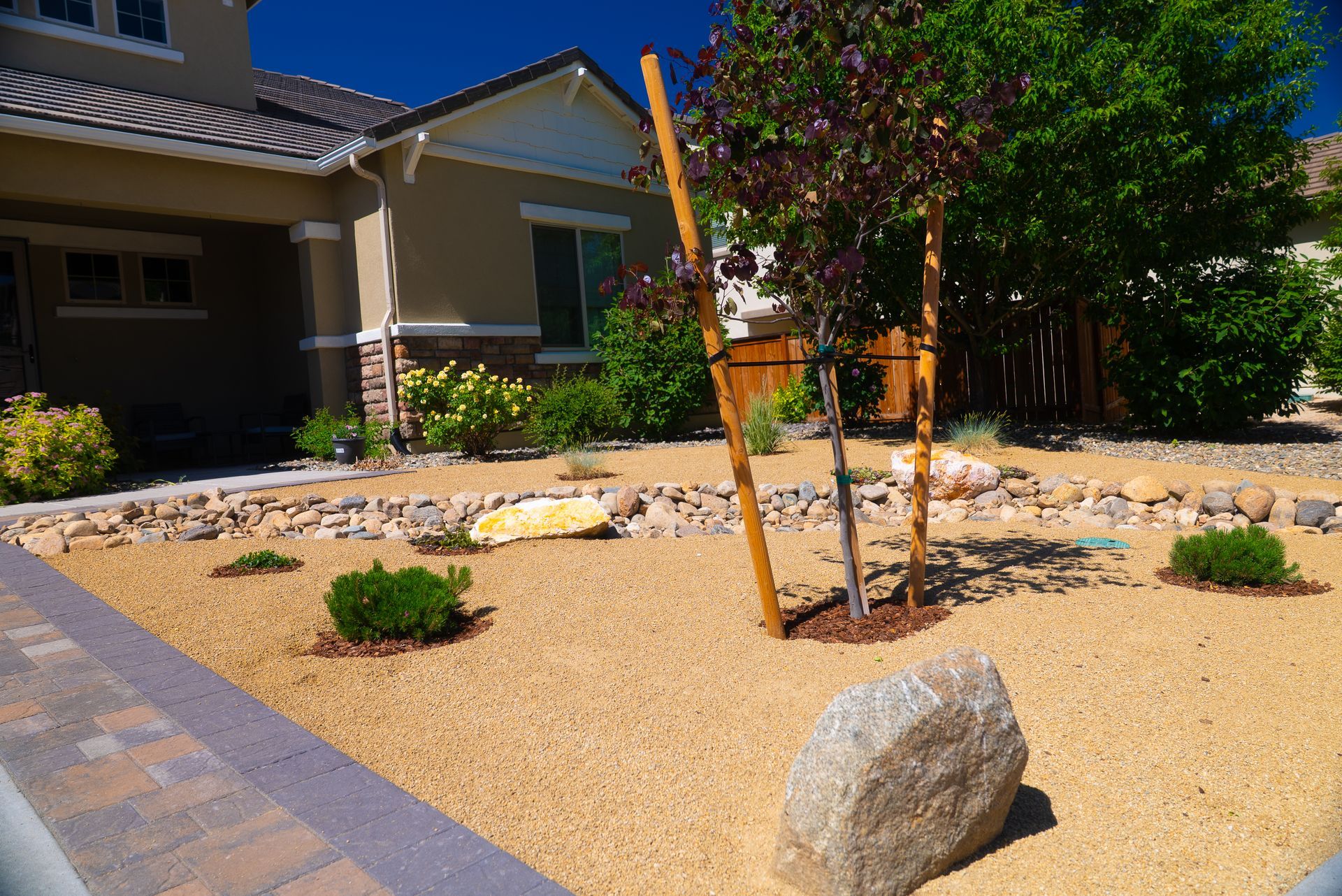 Front yard with tan gravel, rocks, newly planted tree supported by stakes, and a house in the background.