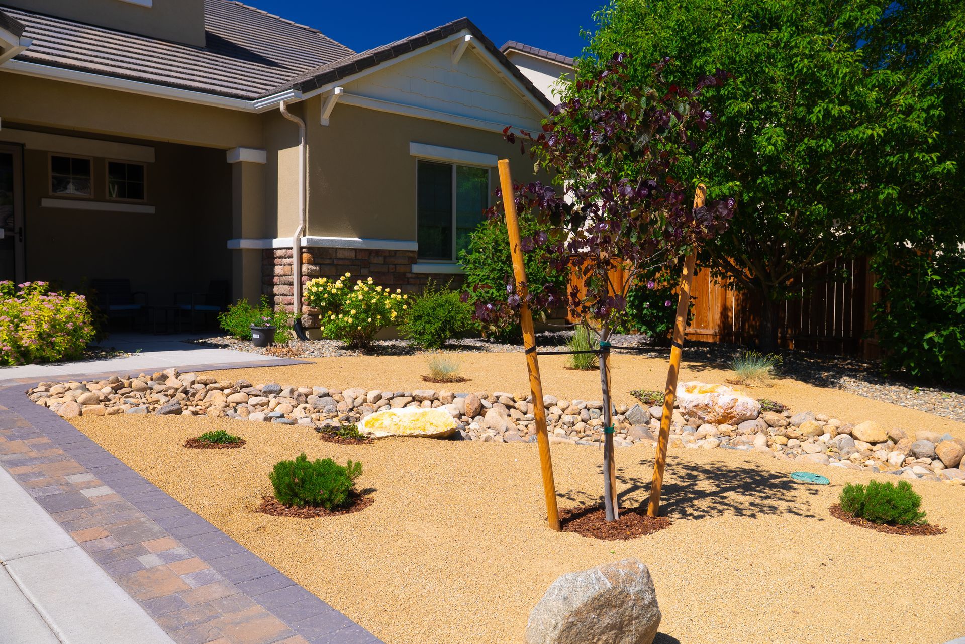 Front yard with tan gravel, rocks, and a newly planted tree in front of a tan house.