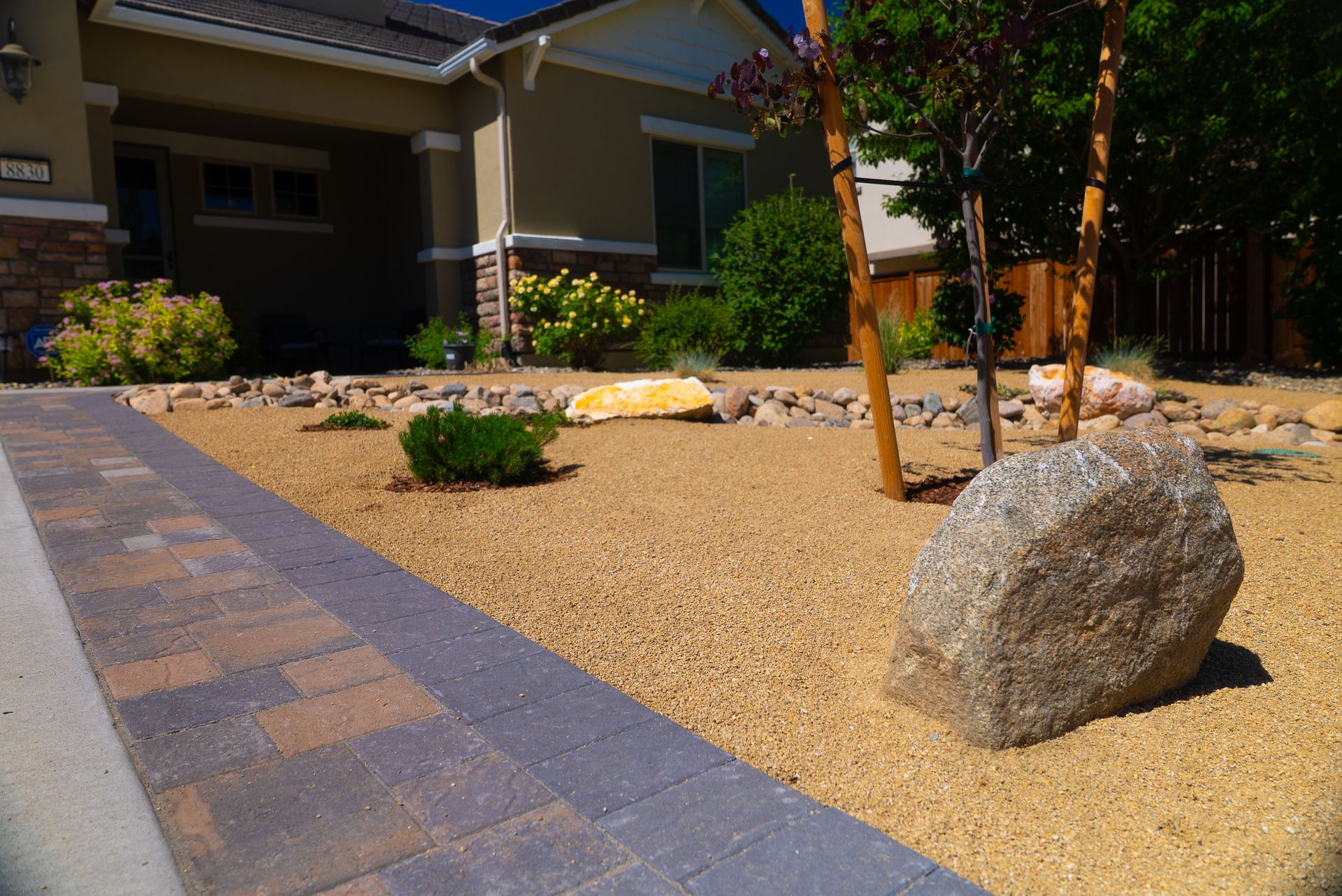 Front yard with gravel, large rocks, a new tree, and a brick pathway.