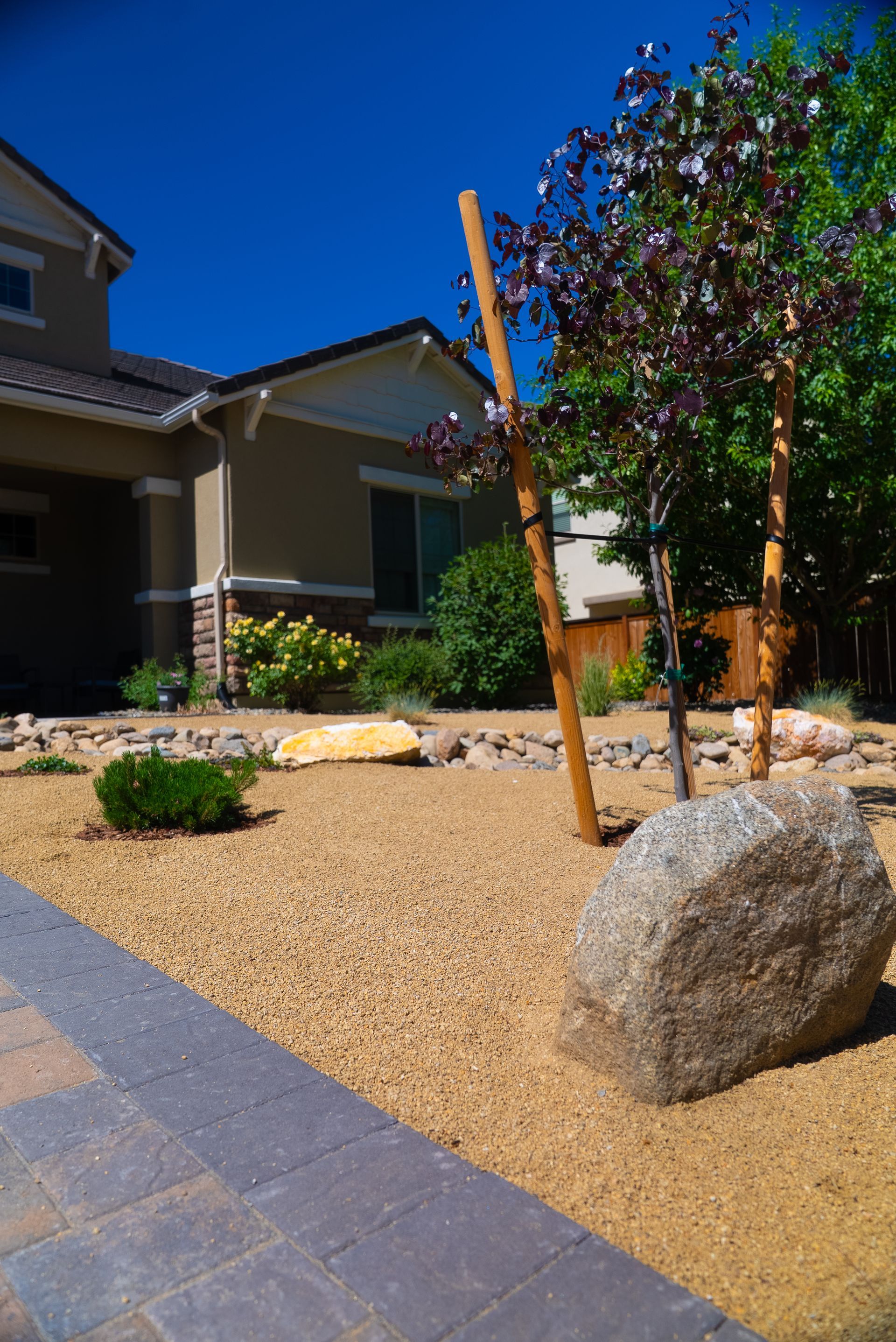 Landscaped front yard with gravel, large rock, small trees, and a beige house under a bright blue sky.