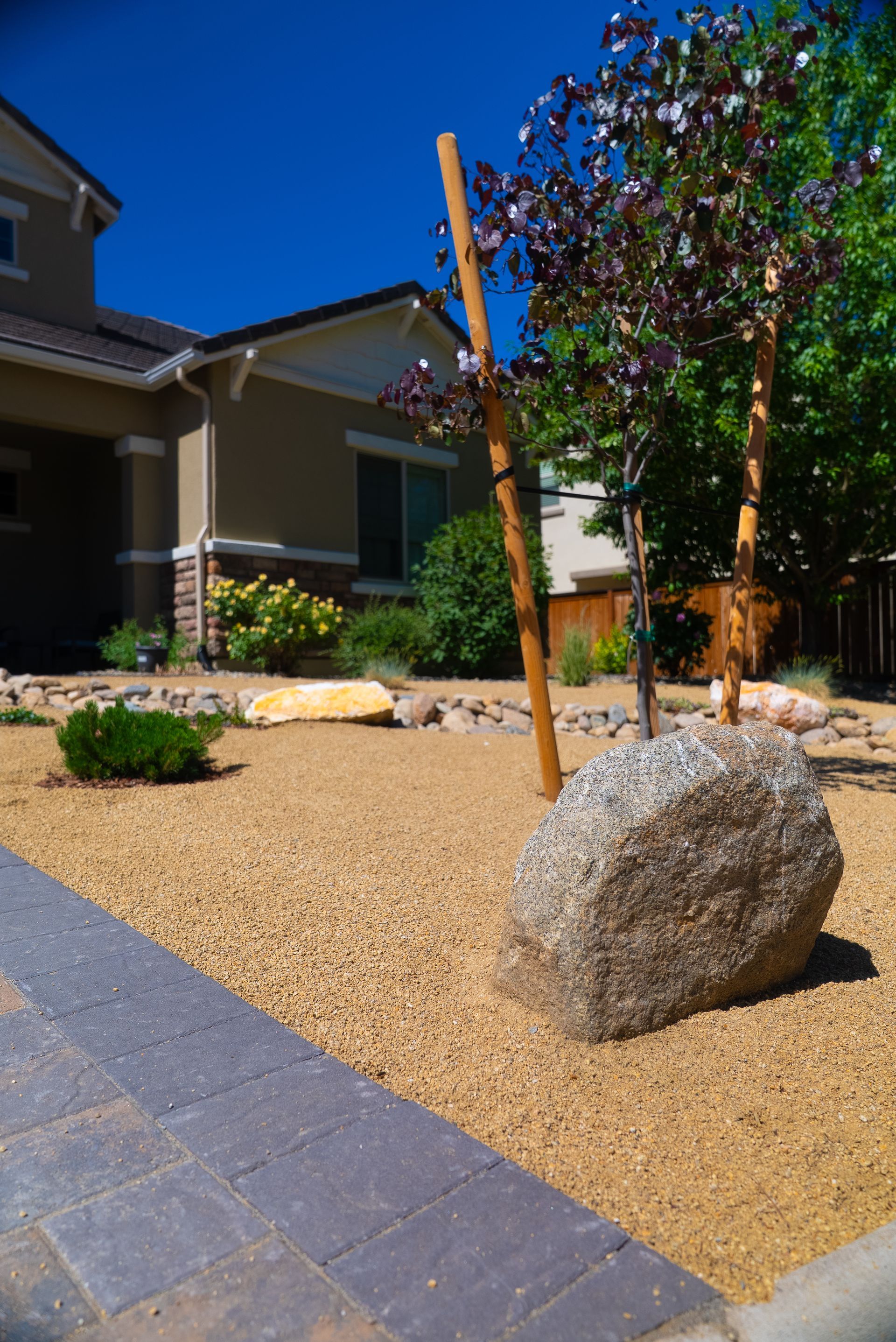 Front yard landscaping with a large boulder, small tree, and gravel.