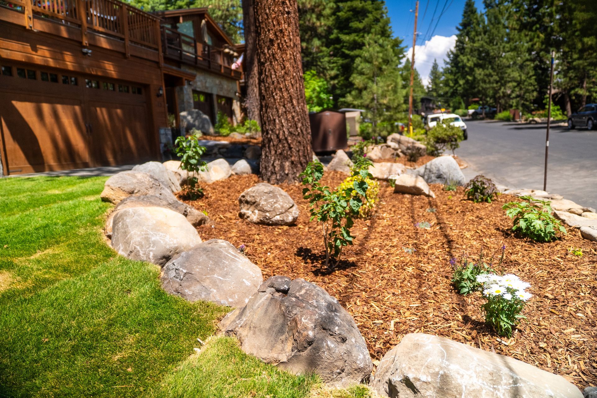 Landscaped yard with large rocks, wood chips, and small plants bordering green lawn and brown house.