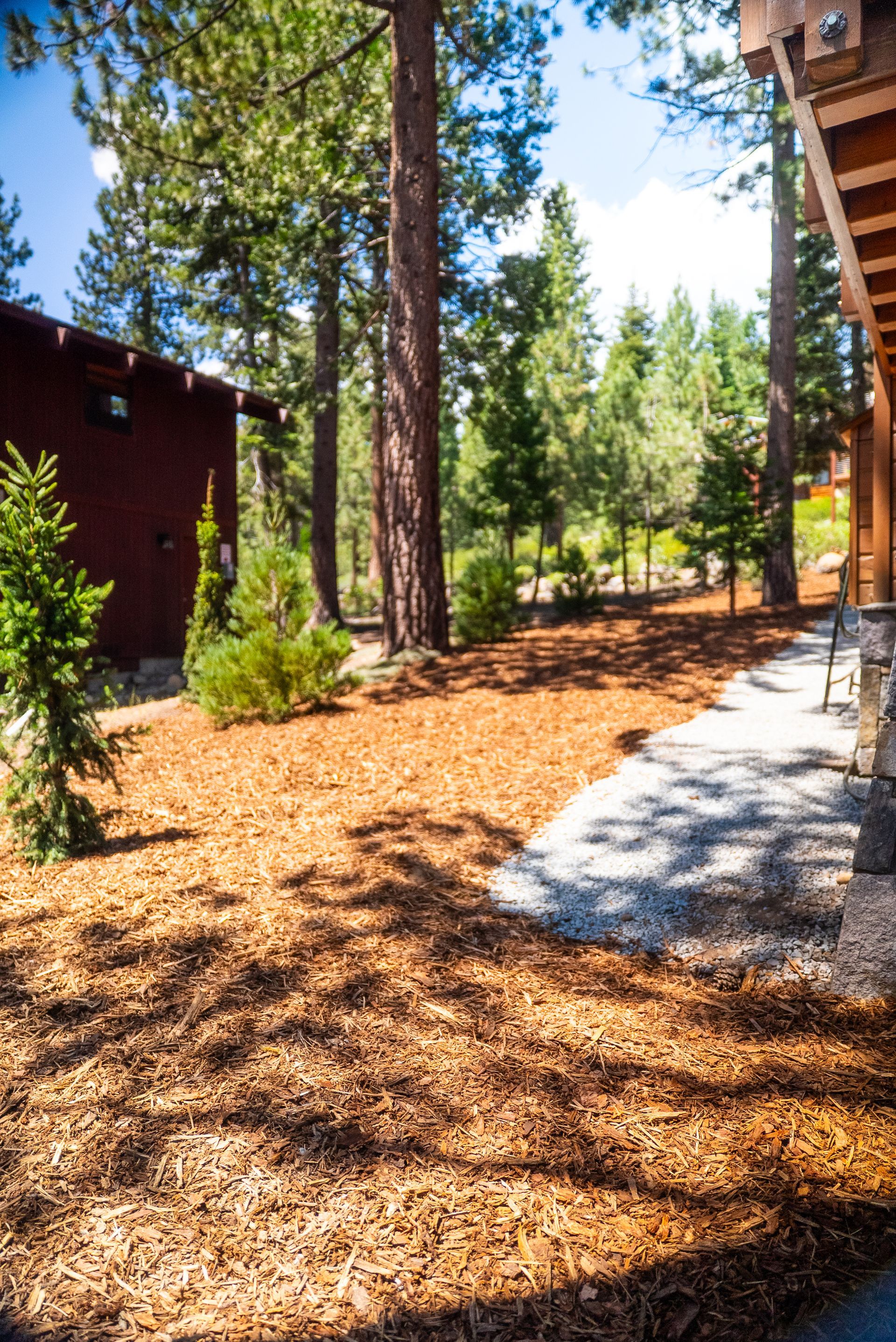Brown mulch ground cover with a path leading to trees and a dark red building.