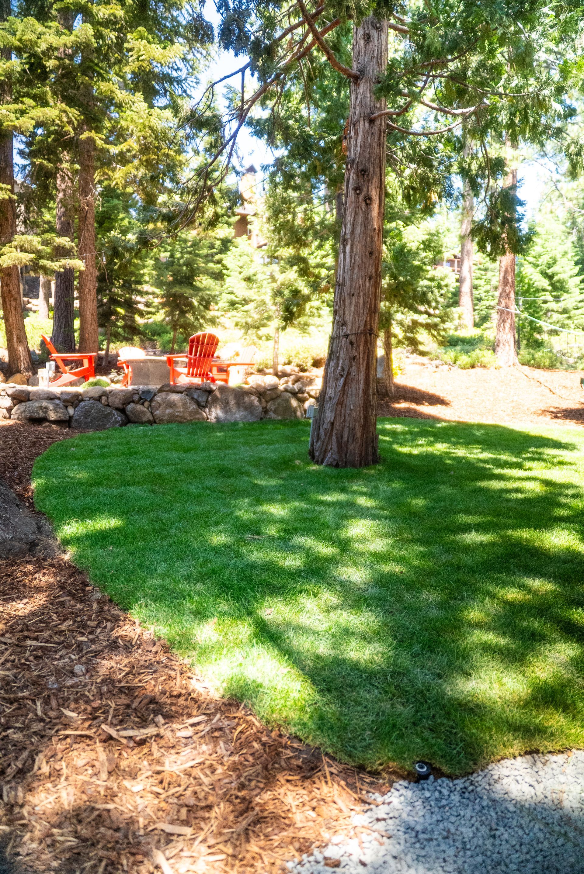 Lush green lawn with a tree, leading to a stone patio with orange chairs, surrounded by trees and mulch.