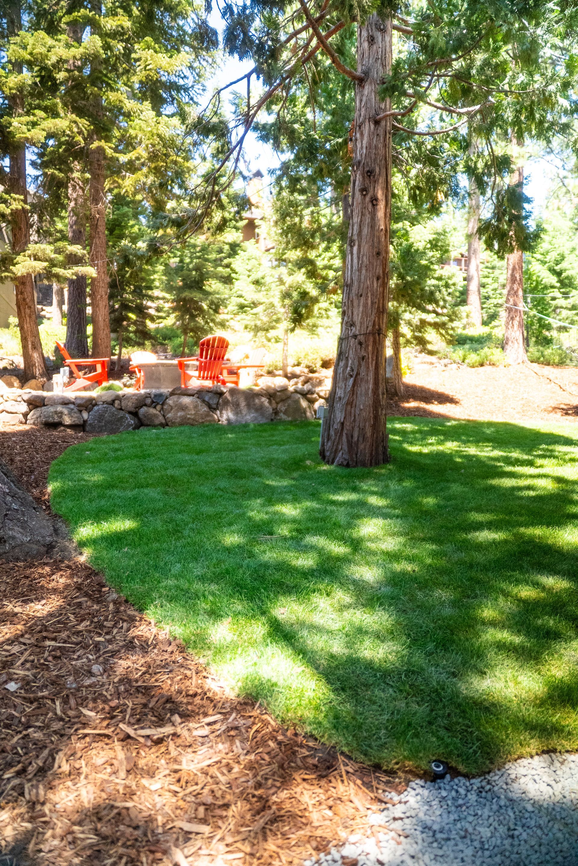 Green lawn with a tree in a sunny yard, with a fire pit area and orange chairs.