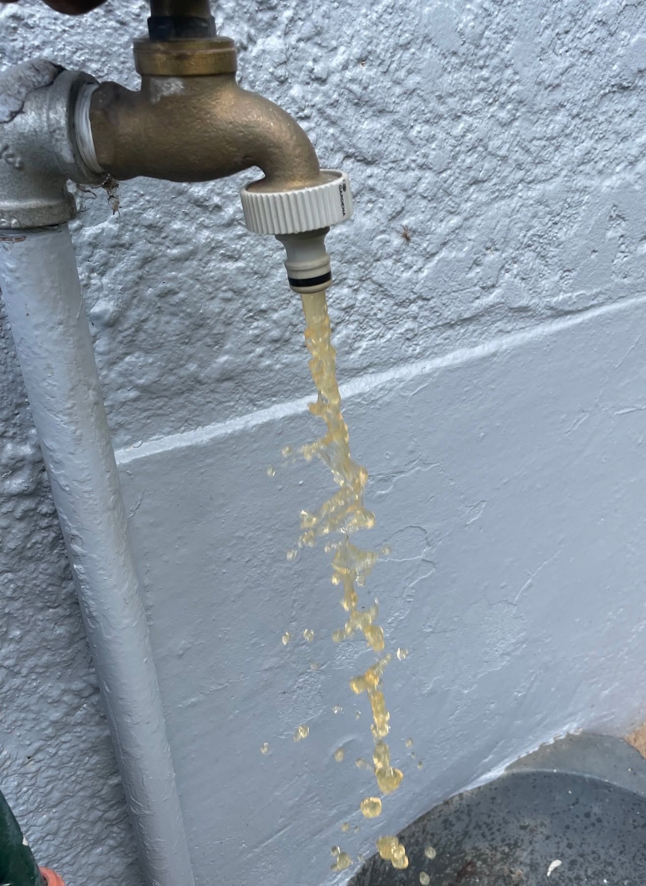 Faucet Leaking Rusty Water in Bathurst