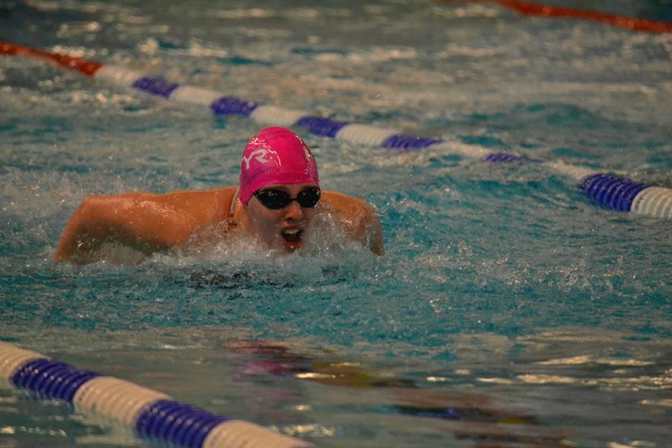 triathlon schoolslag vlinderslag rugcrawl techniek privé groepscursus cursus training alkmaar noord holland heiloo egmond bergen