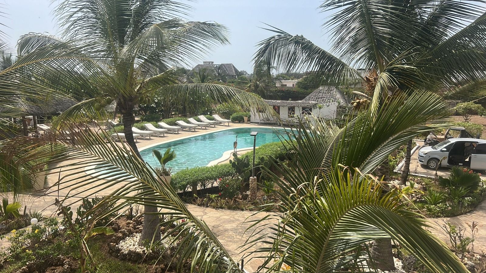 Resort pool surrounded by palm trees, lounge chairs, and a thatched-roof building on a sunny day
