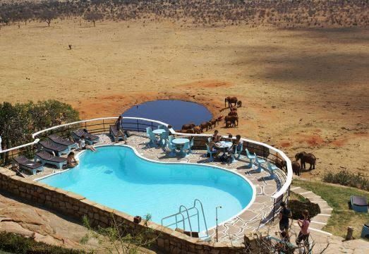 Resort pool with blue water, white deck, and desert landscape beyond