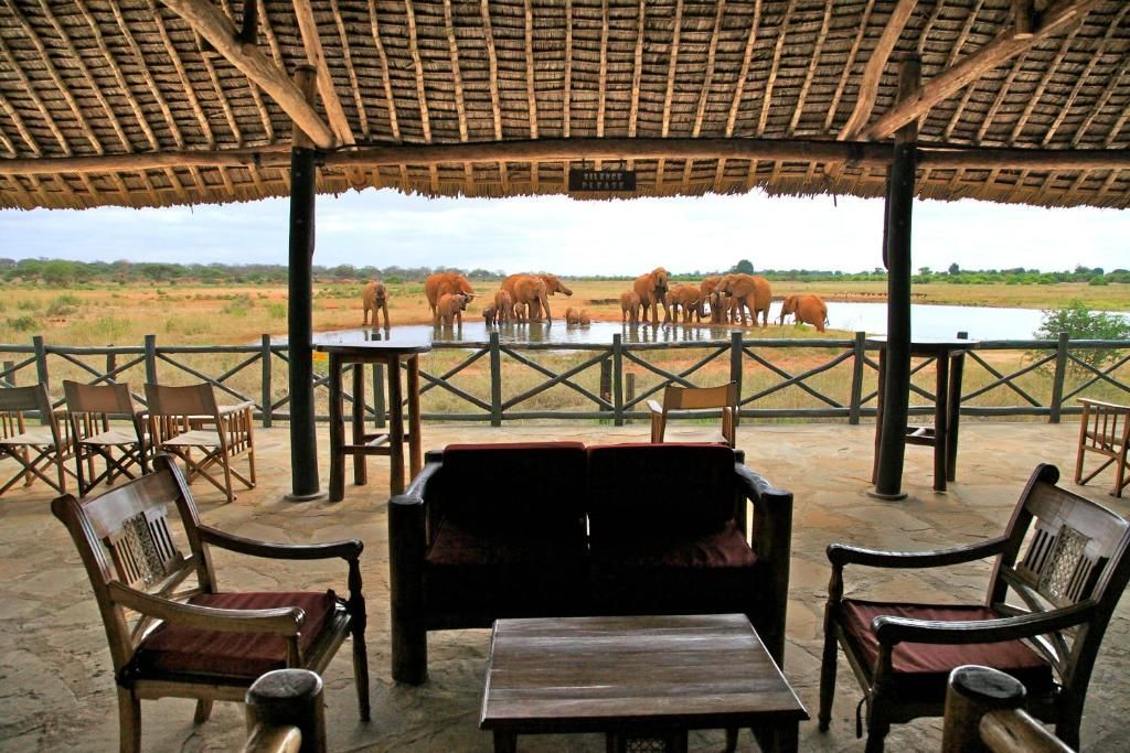 Covered patio lounge overlooking elephants at a watering hole on a safari reserve