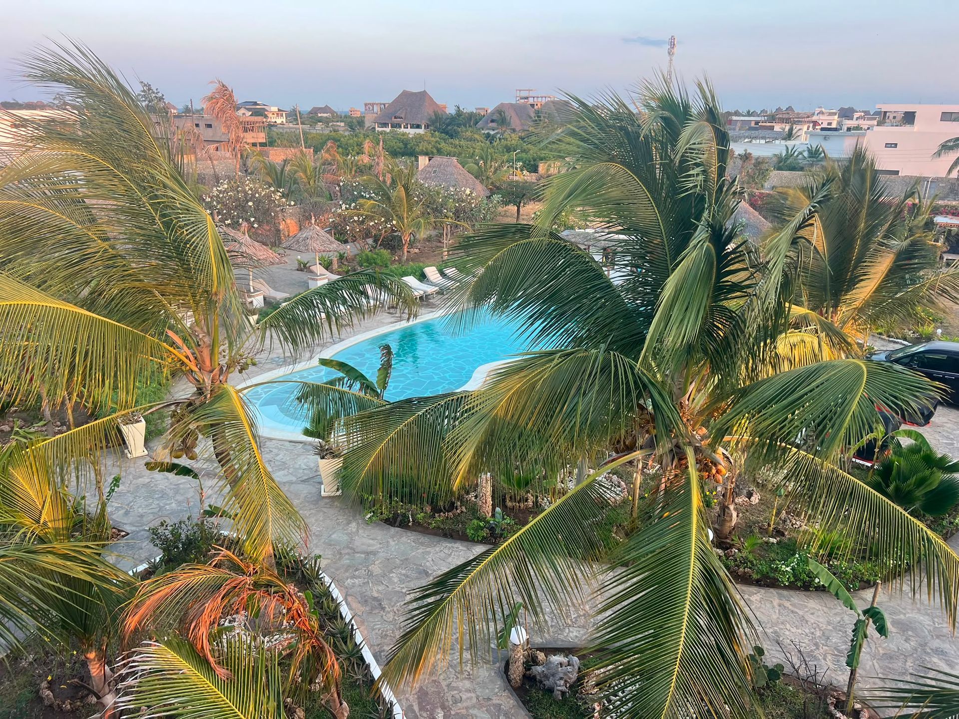 Resort pool surrounded by palm trees, lounge chairs, and a thatched-roof building on a sunny day