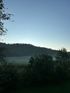 Misty forested hills at dawn under a pale blue sky, with dark trees in the foreground