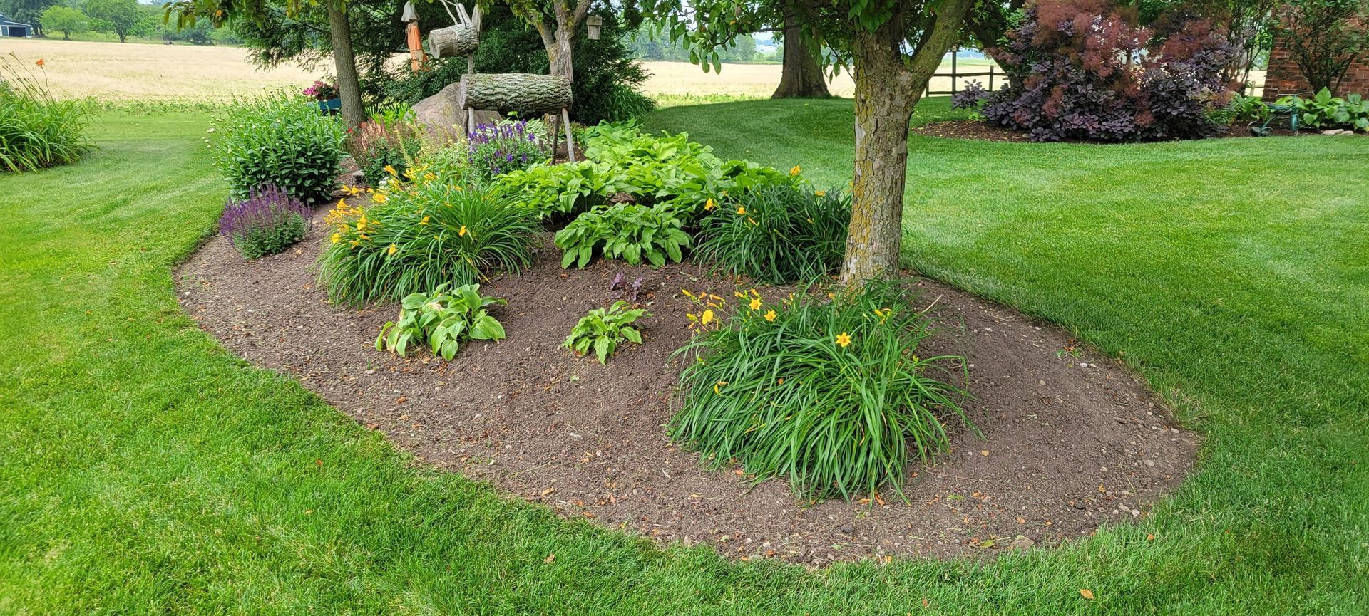 A landscaped garden bed around a tree with lush green grass.