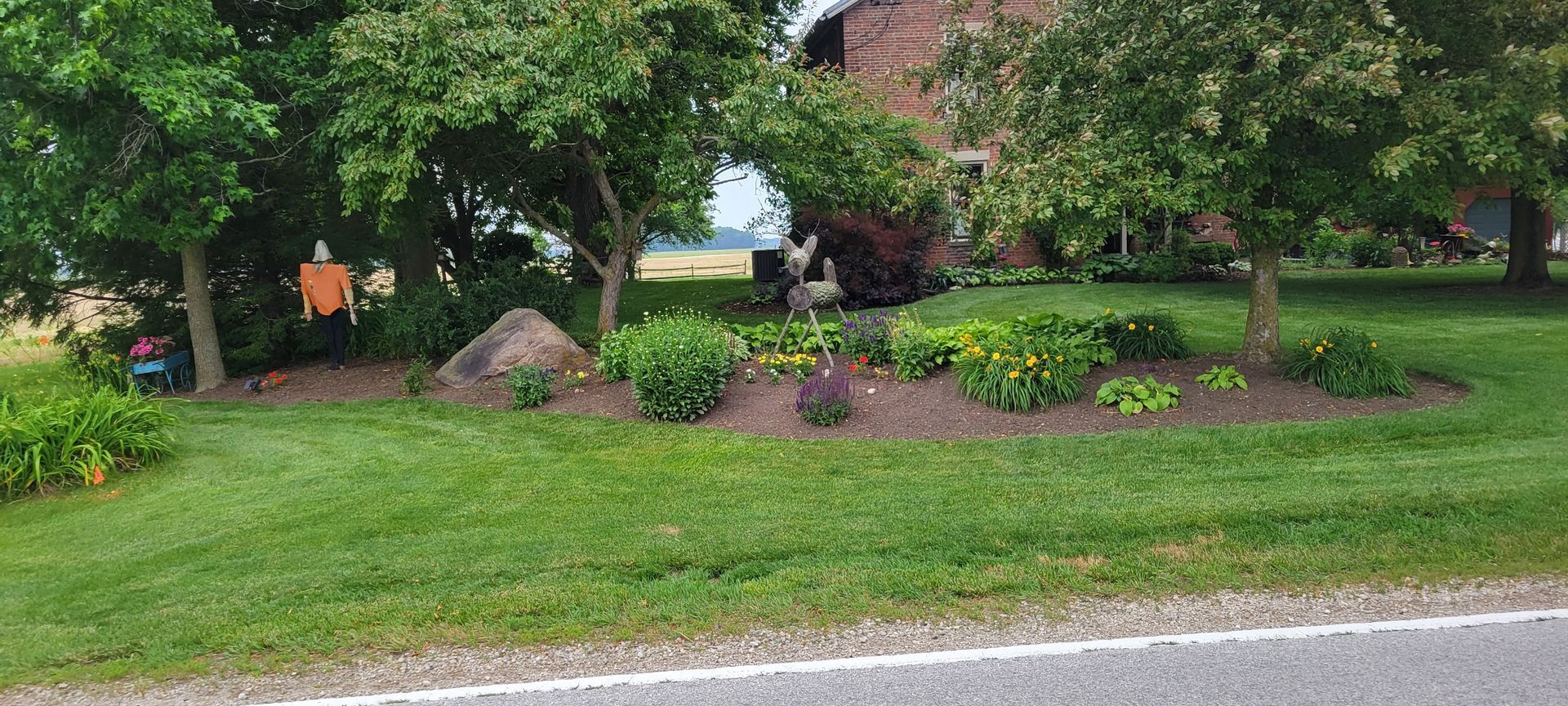 A well-manicured lawn with trees, garden beds, and a scarecrow in front of a rural house.