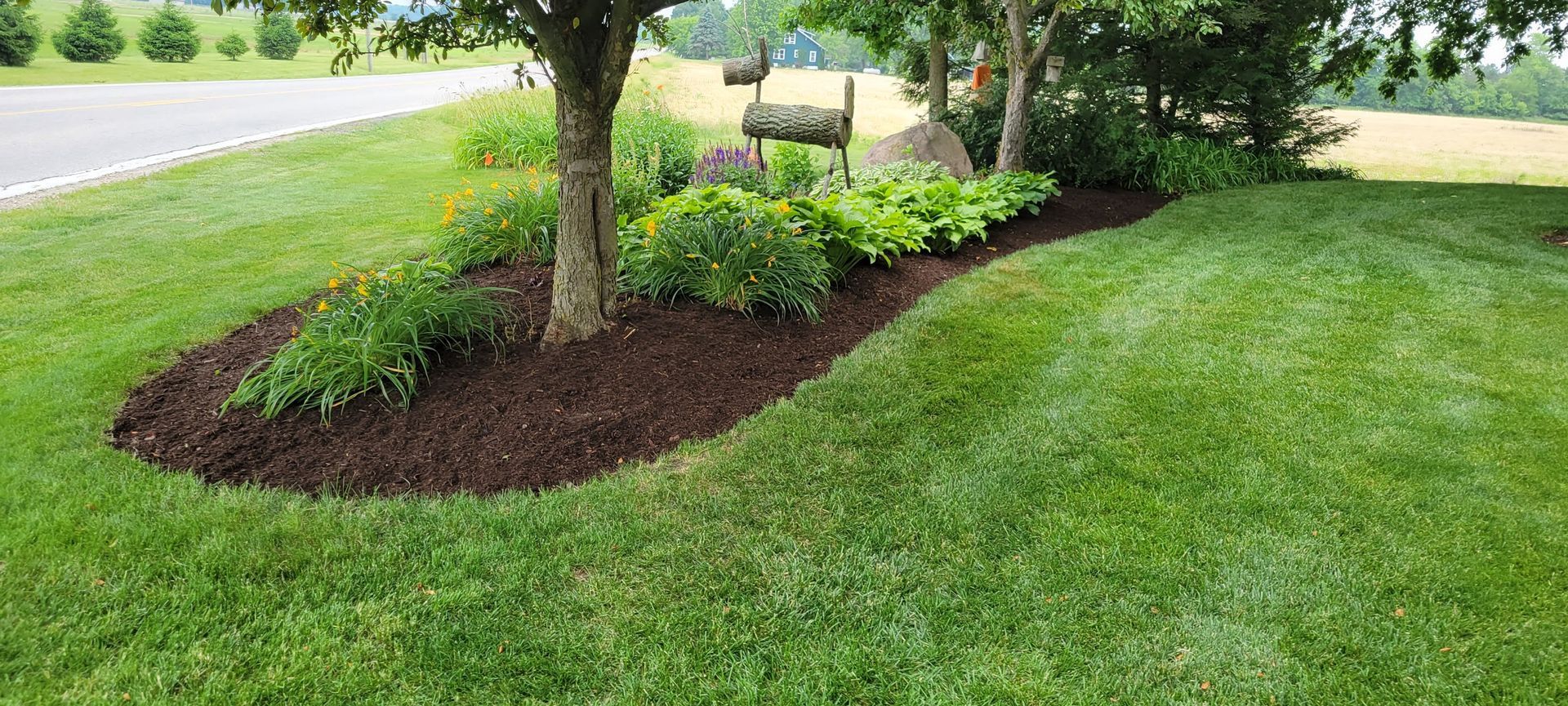 A tree with a bed of mulch and green plants. Green lawn surrounds the tree bed.