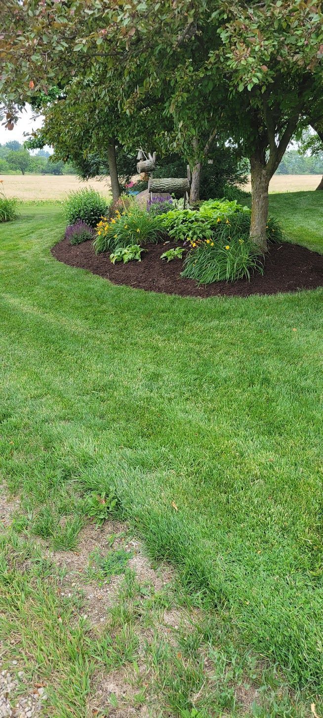 Lush green lawn surrounding a flowerbed under trees. Dark mulch surrounds plants.