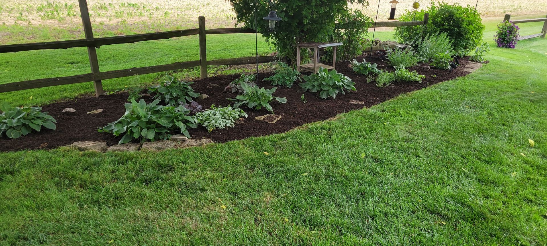 A landscaped garden bed with mulch, plants, and a wooden fence. Green grass surrounds the bed.