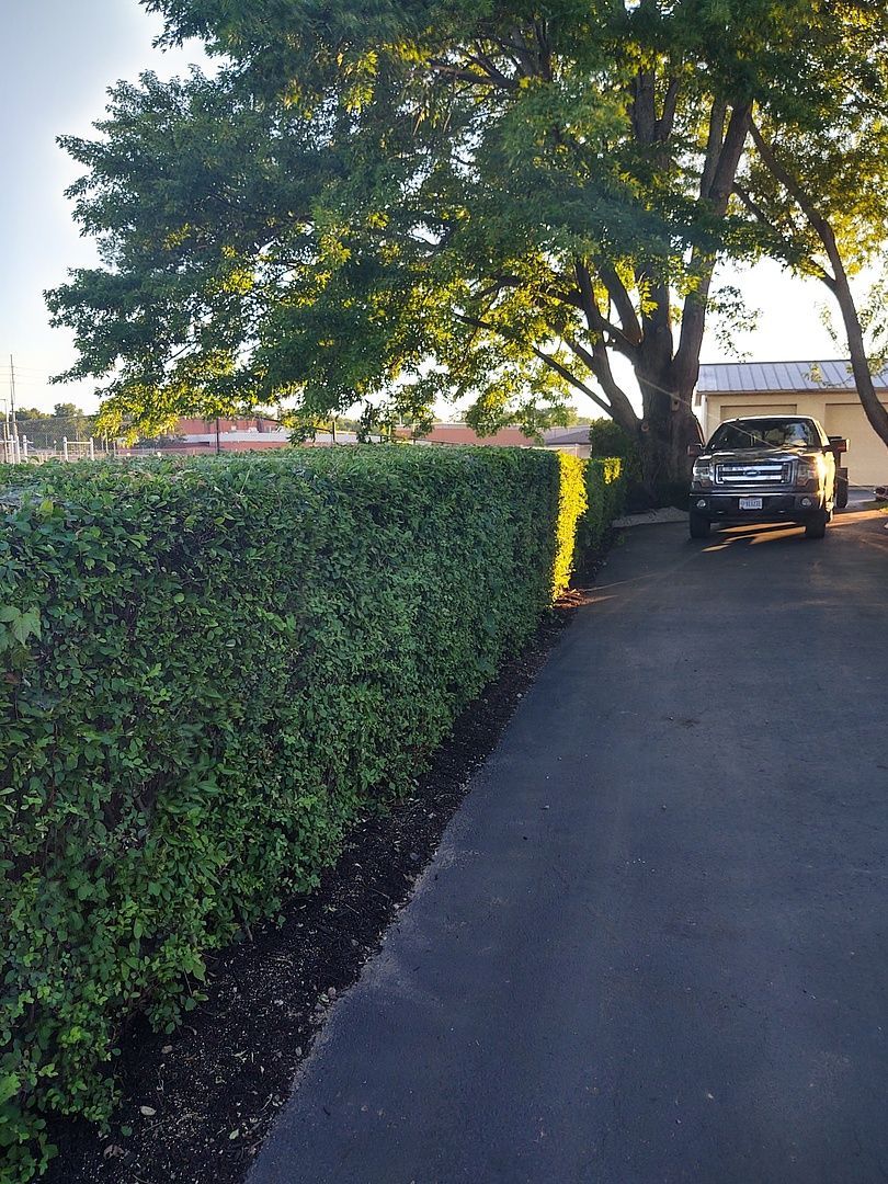A car is parked on the side of a road next to a hedge.