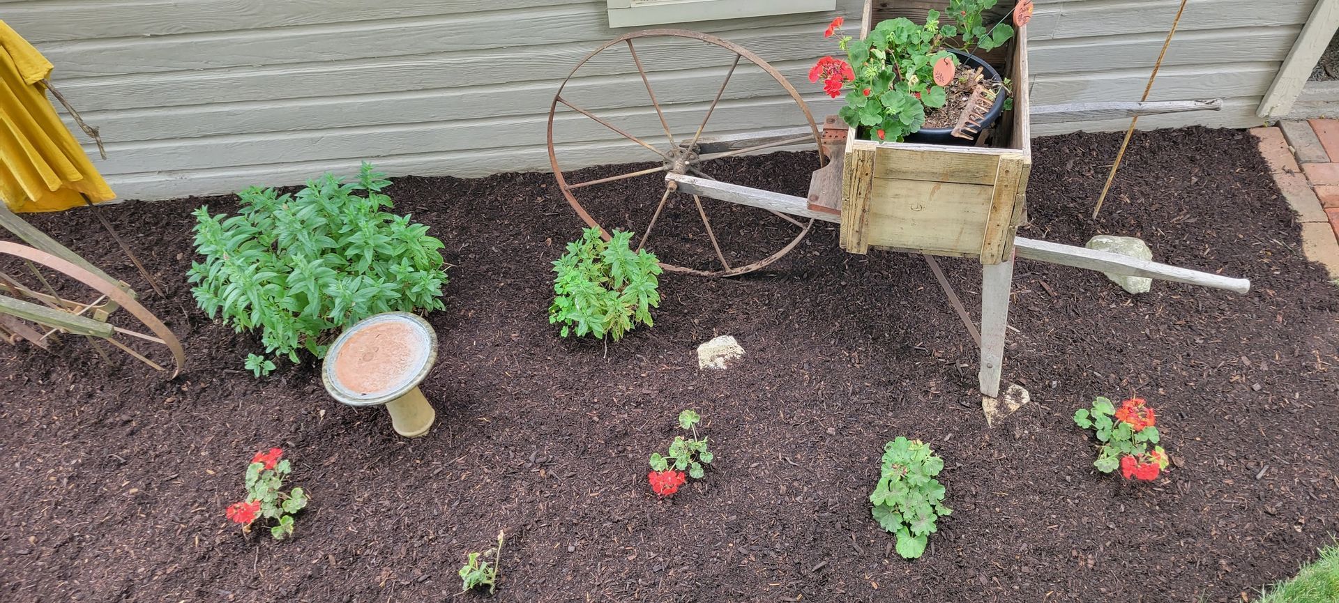 A garden bed with a wooden wheelbarrow planter, a mushroom decoration, and various plants.