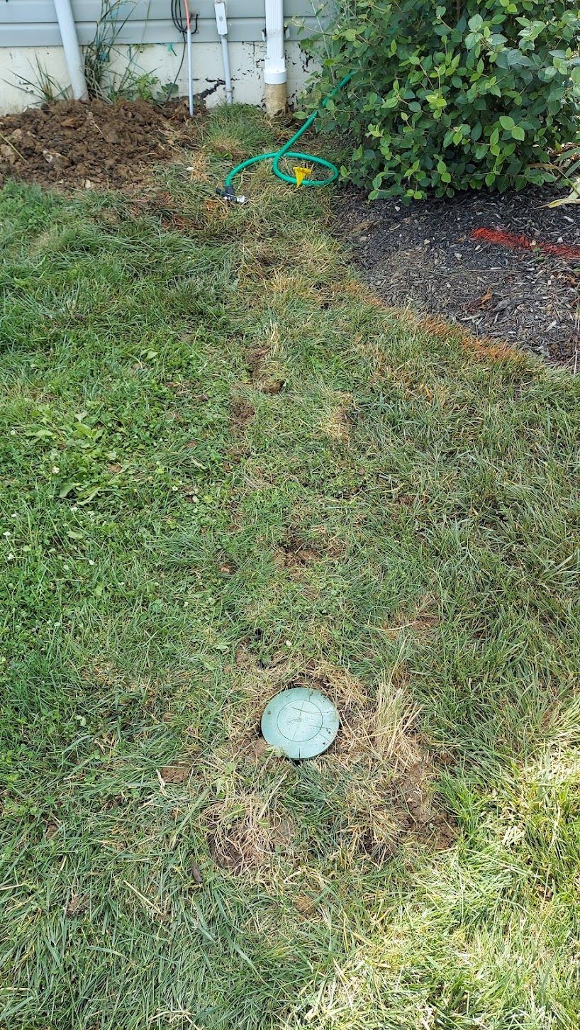 Lawn with a sprinkler head, brown patches of dead grass, and a green hose.