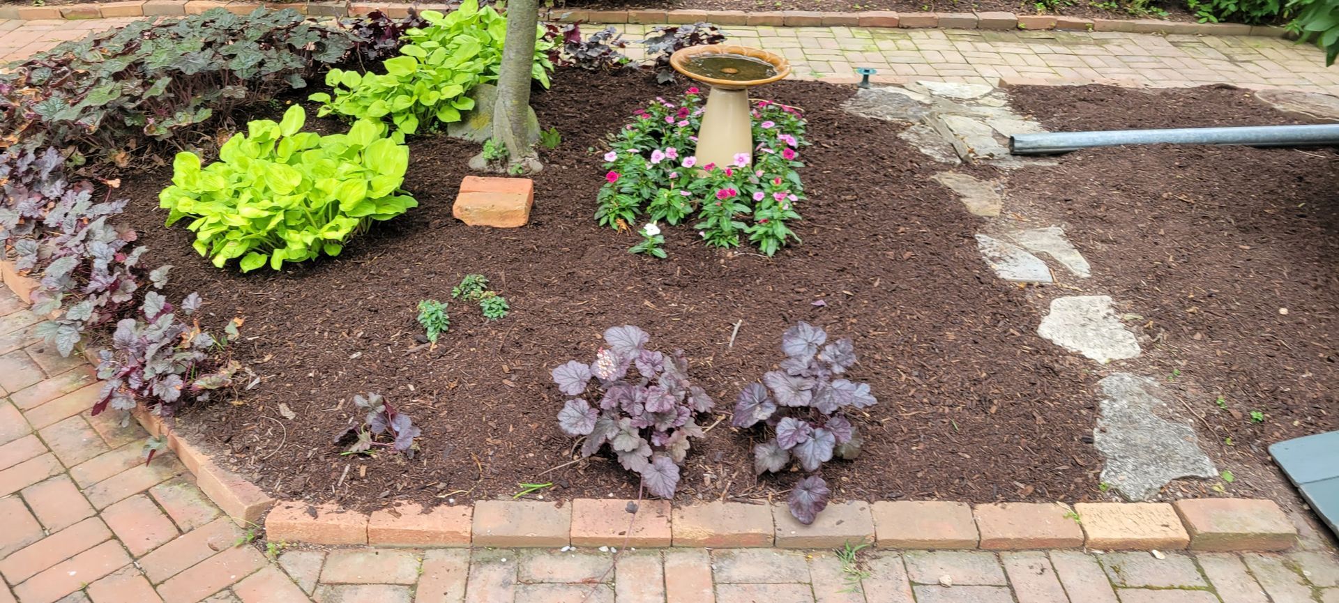 A garden bed with various plants, including bright green and purple foliage, surrounded by brick edging.