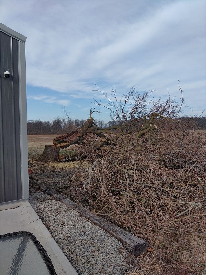 A pile of wood is sitting next to a shed in a field.