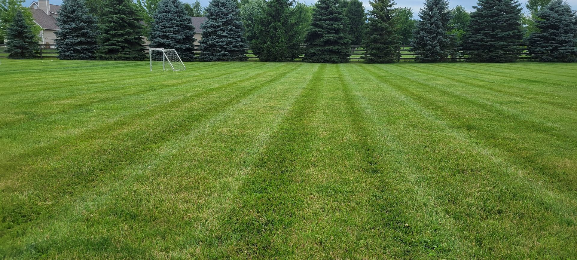 Well-manicured green lawn with mowing stripes, trees in the background.