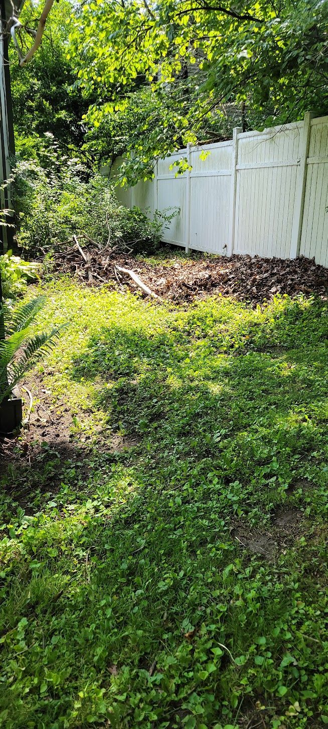 A grassy yard next to a white fence, surrounded by green trees.