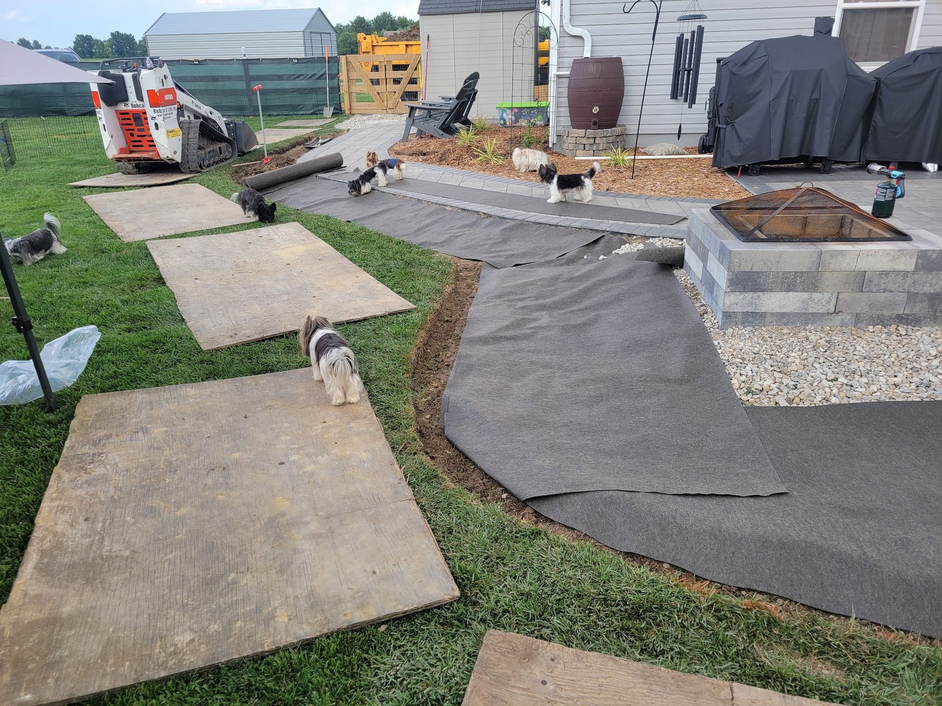 Dogs explore a backyard with landscaping in progress, including pavers, ground cover, and a fire pit.