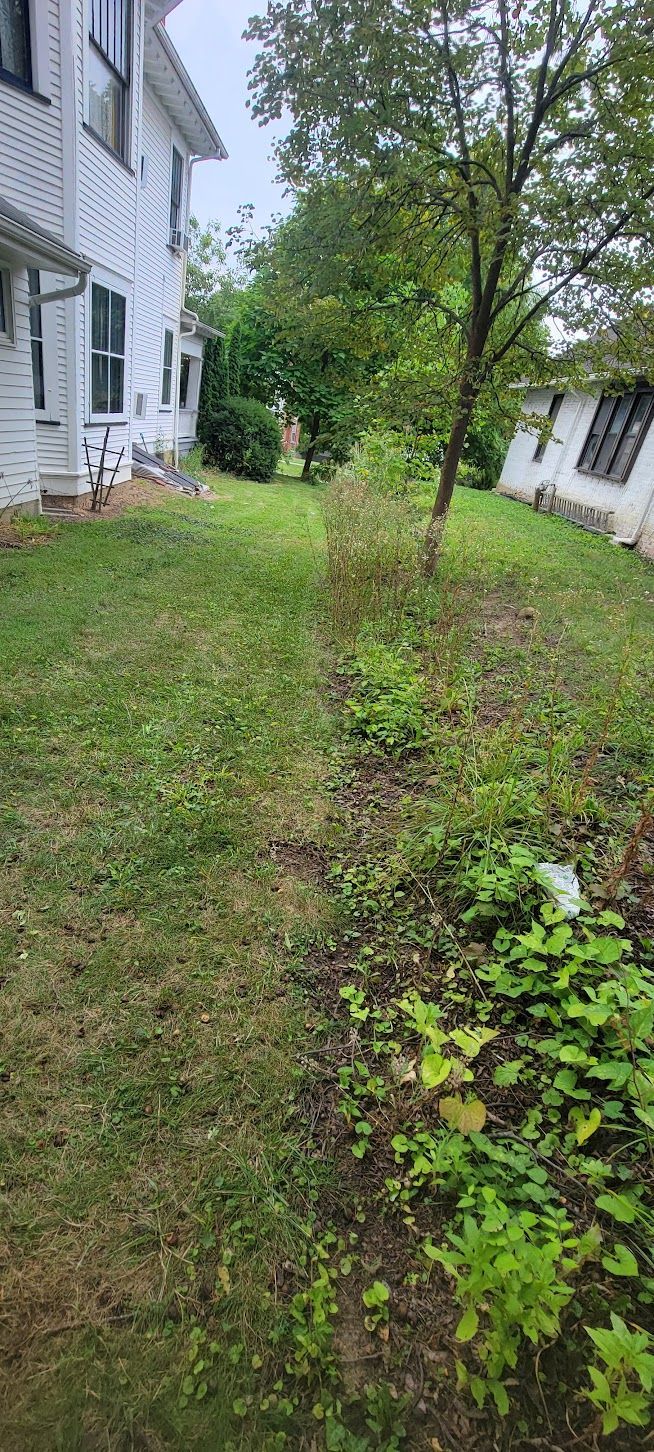 Lawn between two white buildings, with a tree in the middle. Cloudy day.