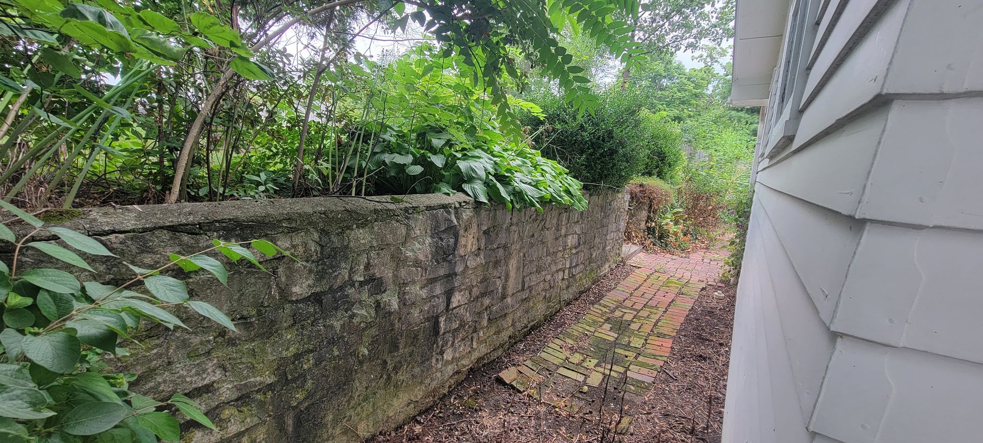 A weathered stone wall borders a narrow passage beside a light gray shingled house. Overgrowth fills the space.