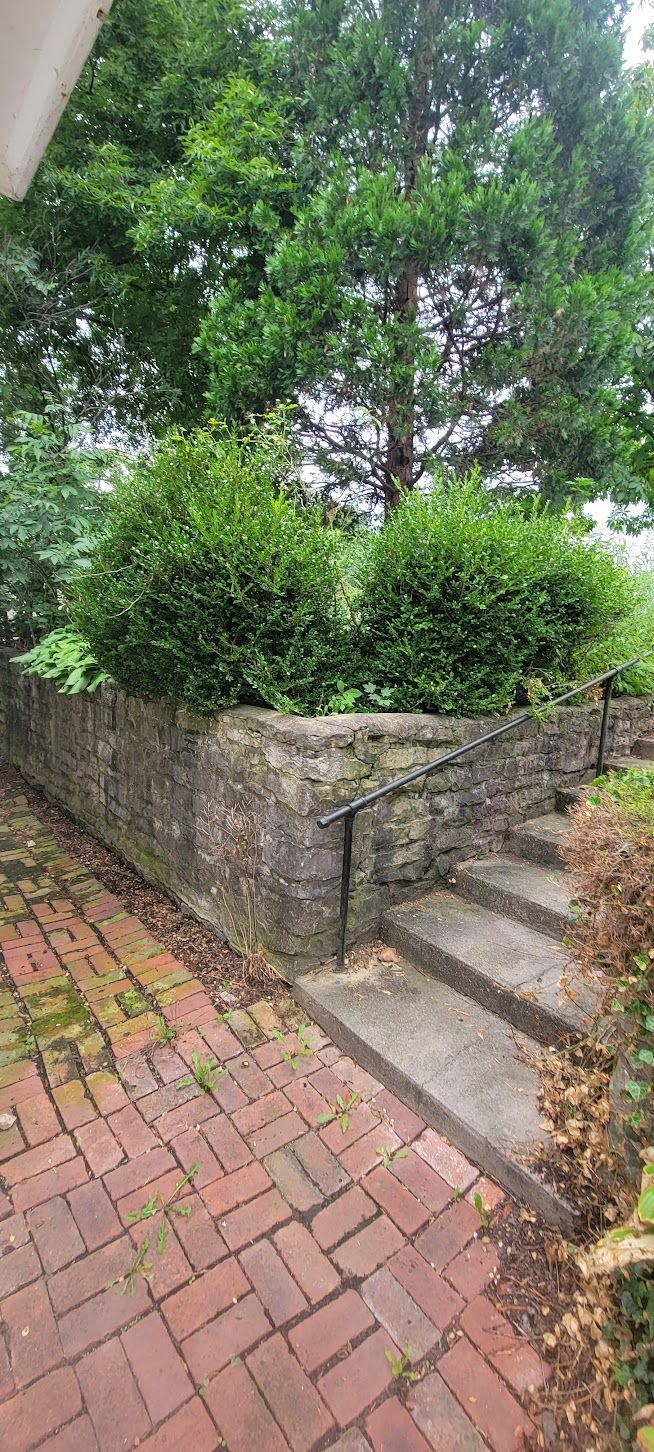 Brick pathway, stone wall, steps, and green shrubbery. Overgrown trees in the background.
