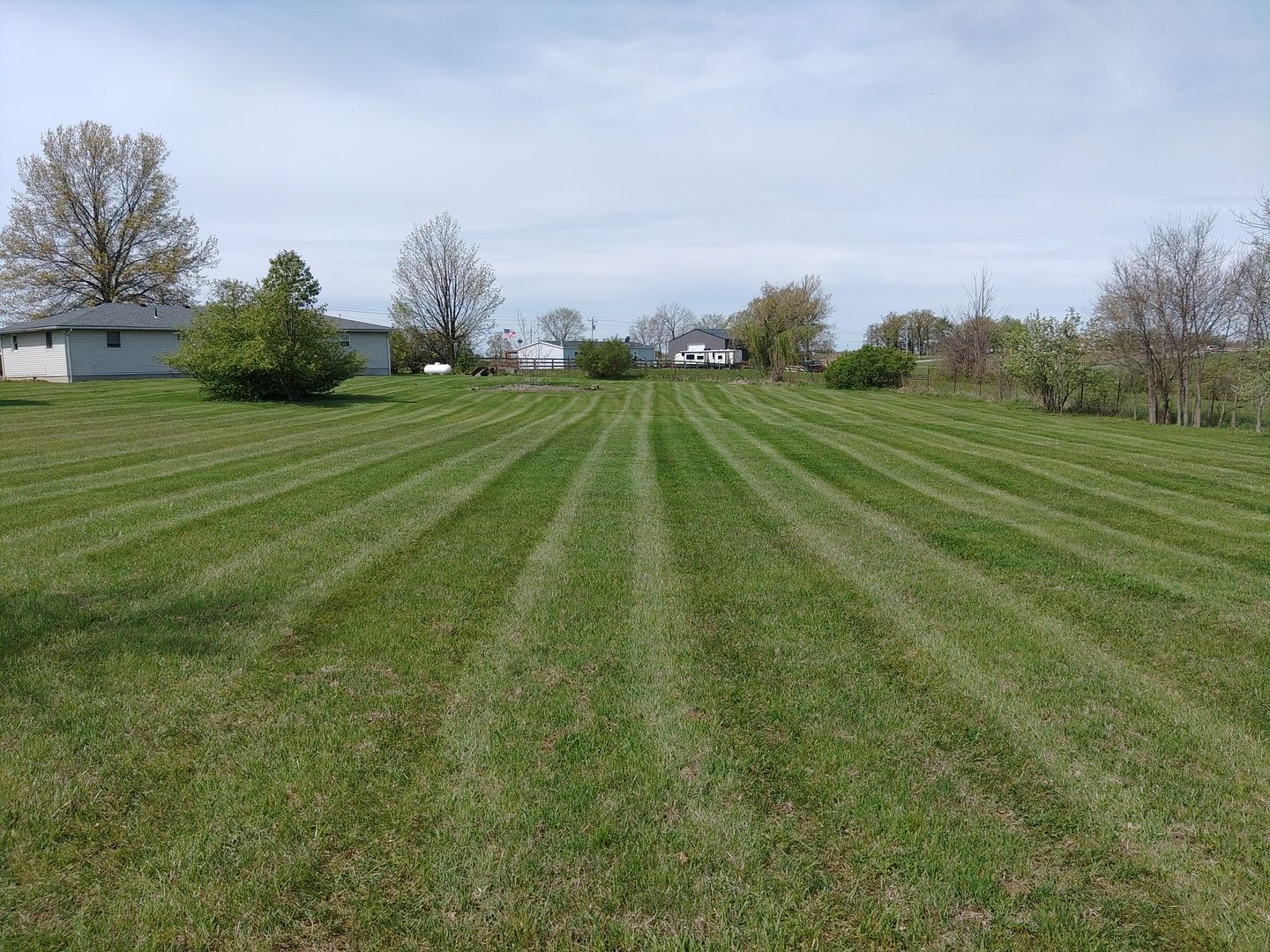 A lush green field of grass with a house in the background.