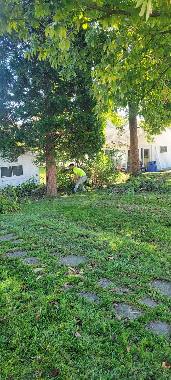 A person in a yellow shirt is working in a yard. Trees and a house are in the background. Green grass.