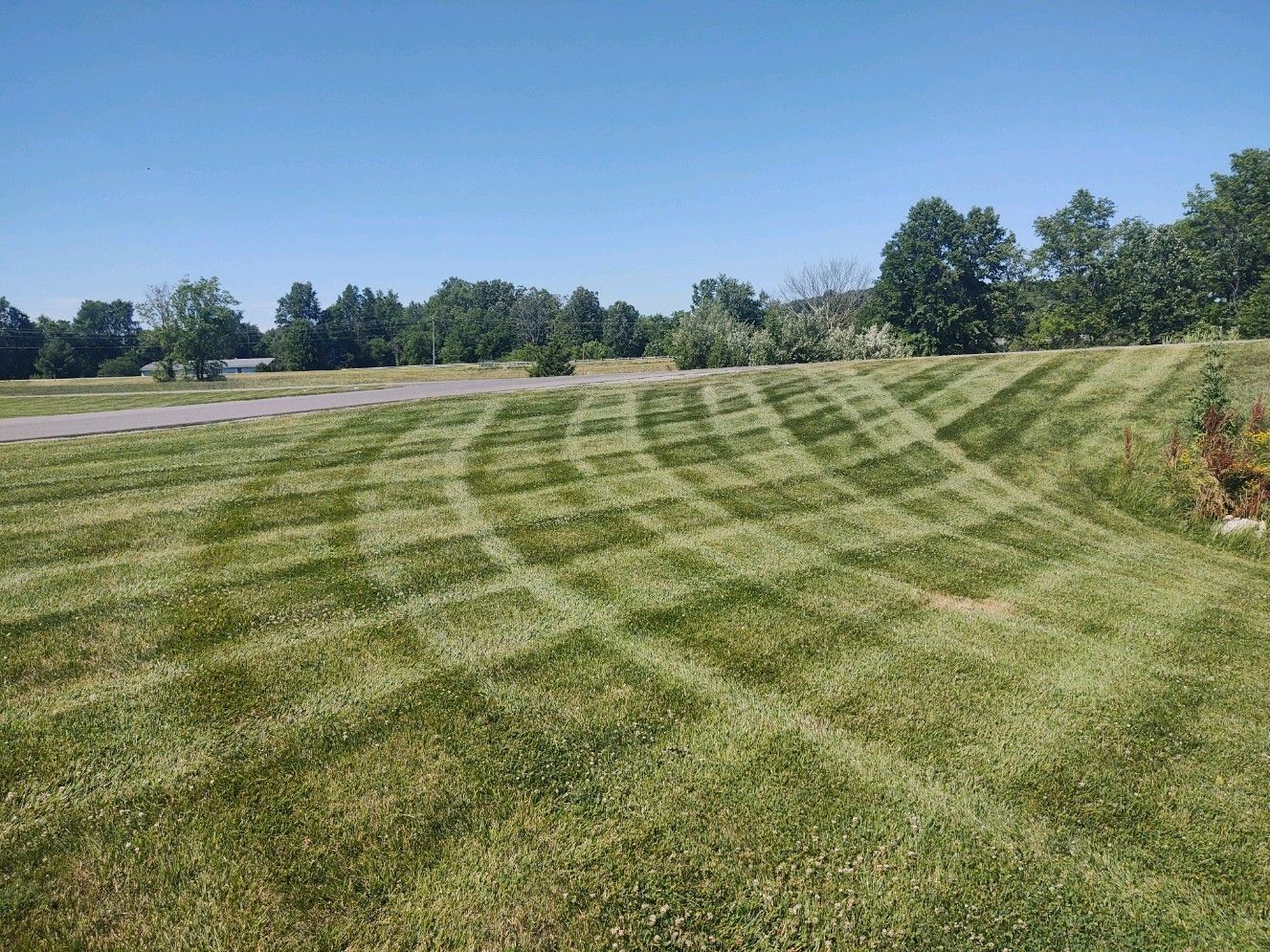 A lush green field of grass is being mowed on a sunny day.