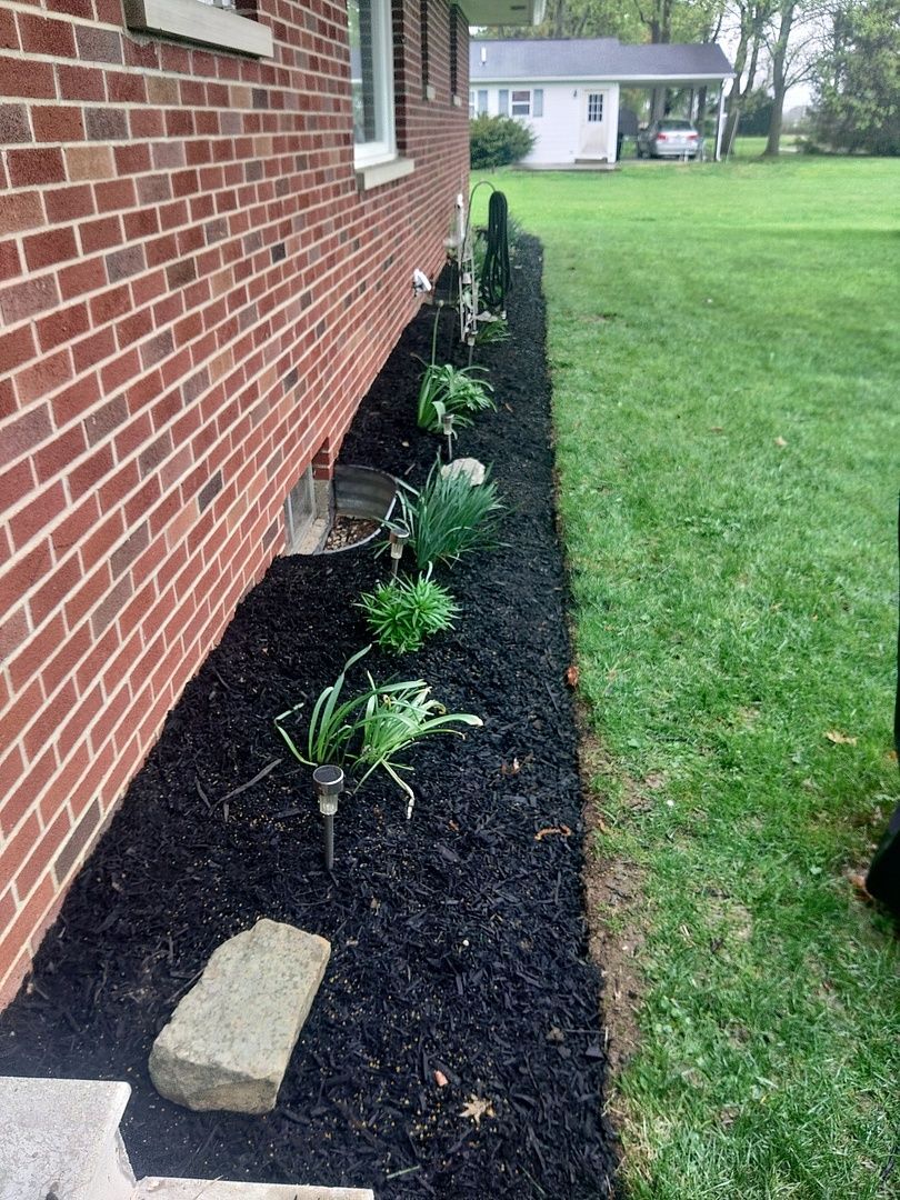 A brick house with a row of plants in front of it.
