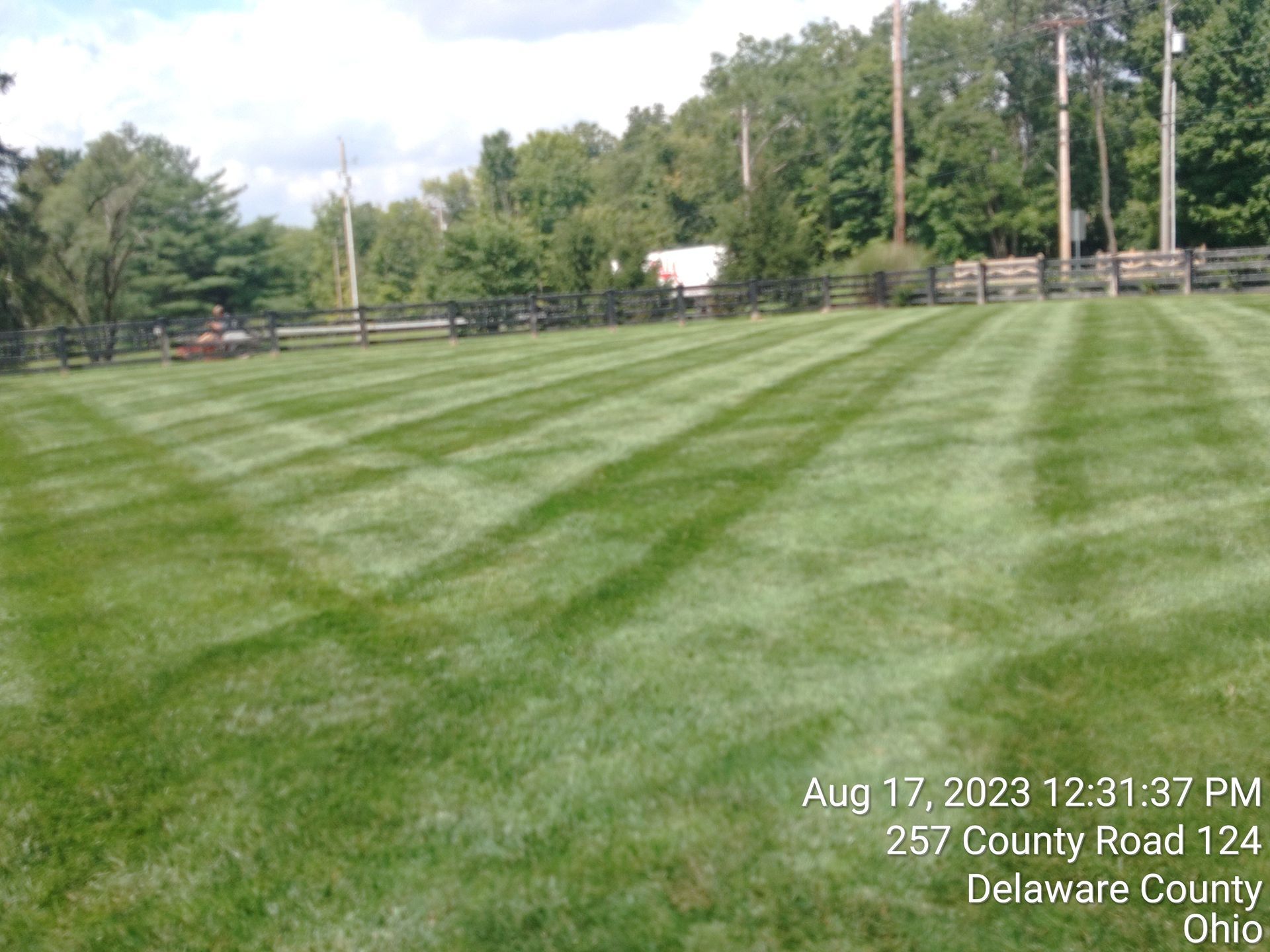 A picture of a lush green lawn in delaware county ohio