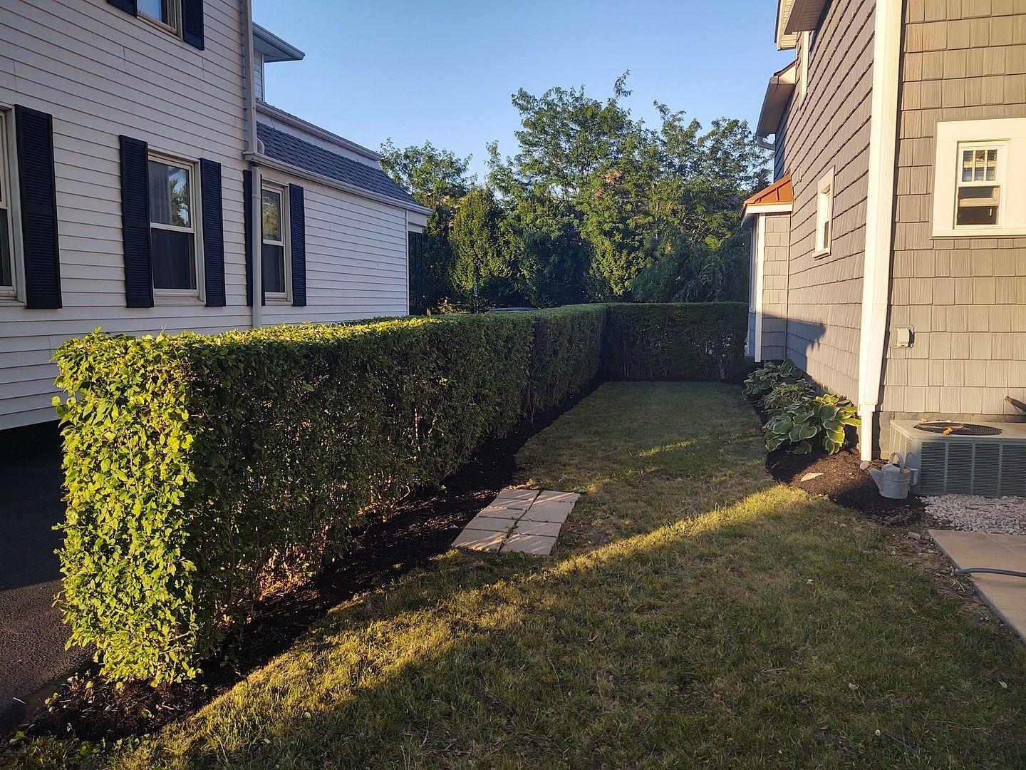 A house with a lush green lawn and a hedge in front of it.