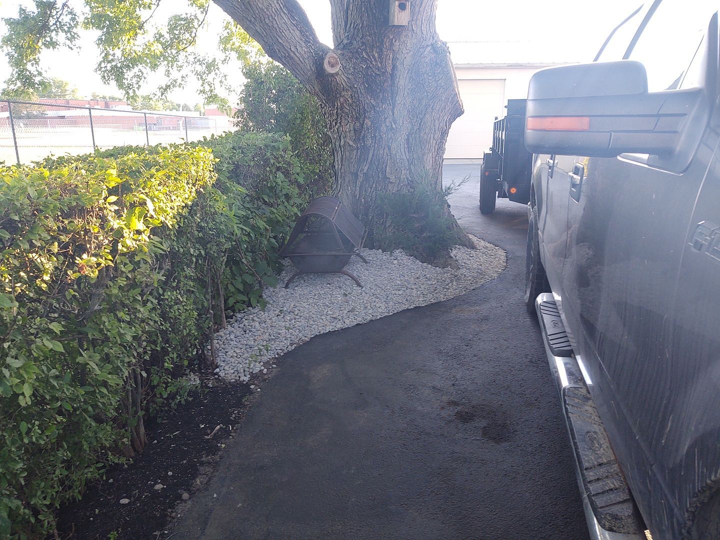 A black truck is parked next to a tree in a driveway.