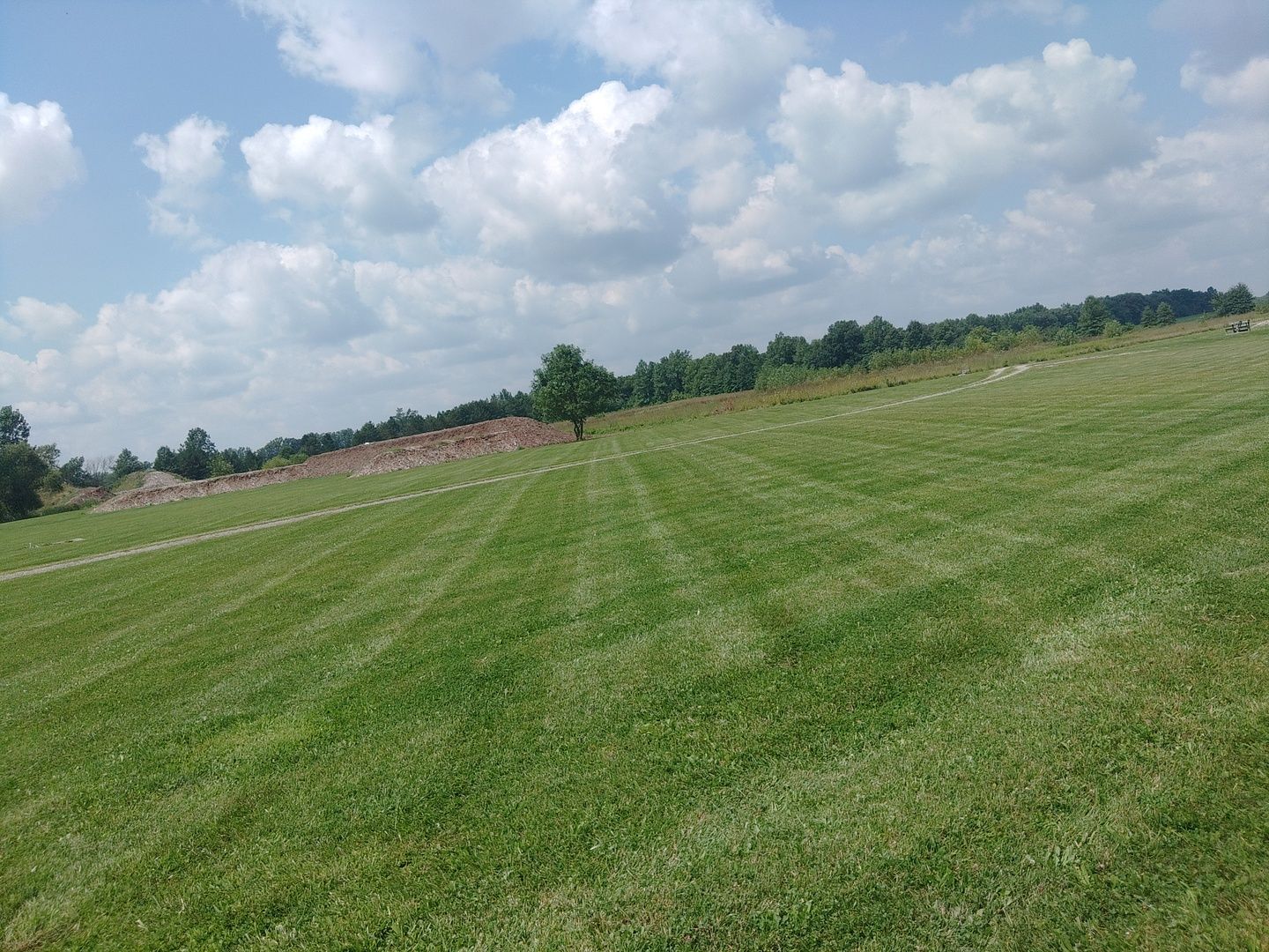 A lush green field with trees in the background on a sunny day
